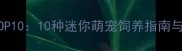 超萌宠物TOP1010种迷你萌宠饲养指南与避坑攻略