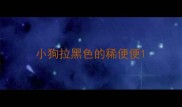 小狗拉黑色的稀便便