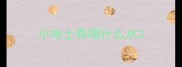 小哈士奇喝什么水