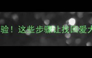 边牧寻回血泪经验这些步骤让找回爱犬成功率提升80