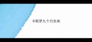卡斯罗九个月多高