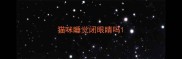 猫咪睡觉闭眼睛吗