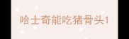 哈士奇能吃猪骨头
