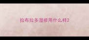 拉布拉多湿疹用什么样