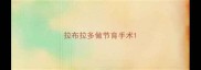 拉布拉多做节育手术
