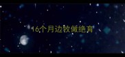16个月边牧做绝育