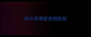 哈尔滨博爱宠物医院