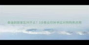 泰迪到新家乱叫不止3步教会你科学应对狗狗焦虑期