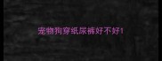 宠物狗穿纸尿裤好不好