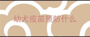 幼犬疫苗预防什么