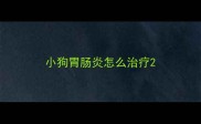 小狗胃肠炎怎么治疗