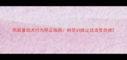 高能量幼犬行为矫正指南科学训练让活泼变自律