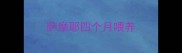 萨摩耶四个月喂养