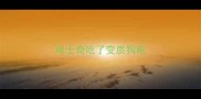 哈士奇吃了变质狗粮