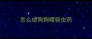 怎么给狗狗喂驱虫药