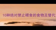 哈士奇饮食禁忌清单10种绝对禁止喂食的食物及替代方案附权威解读