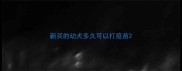 新买的幼犬多久可以打疫苗