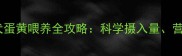 拉布拉多犬蛋黄喂养全攻略科学摄入量营养与风险