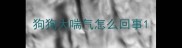 狗狗大喘气怎么回事