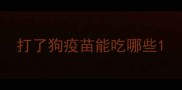 打了狗疫苗能吃哪些