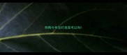 狗狗今年没打疫苗可以吗