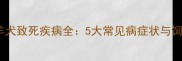 边境牧羊犬致死疾病全5大常见病症状与饲养建议