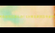 泰迪幼犬肚皮发红怎么办5大常见原因及专业护理指南