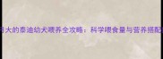 一个月大的泰迪幼犬喂养全攻略科学喂食量与营养搭配指南