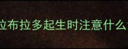 拉布拉多起生时注意什么