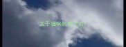 关于猫咪的英文名
