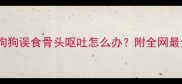 紧急处理狗狗误食骨头呕吐怎么办附全网最全应对指南
