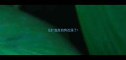 没打疫苗的狗洗澡了