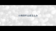 小狗惊吓过度怎么办