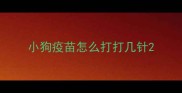 小狗疫苗怎么打打几针