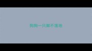 狗狗一只脚不落地