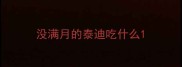 没满月的泰迪吃什么