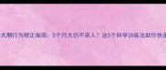 加纳利犬幼犬期行为矫正指南5个月大仍不亲人这5个科学训练法助你快速建立信任