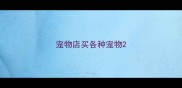 宠物店买各种宠物