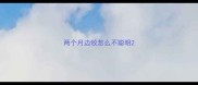 两个月边牧怎么不聪明