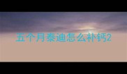 五个月泰迪怎么补钙
