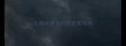 小狗40多天打疫苗管用吗