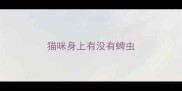 猫咪身上有没有蜱虫