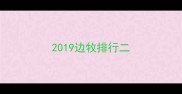 2019边牧排行二