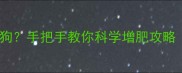 二哈怎么吃成小胖狗手把手教你科学增肥攻略幼犬成犬通用