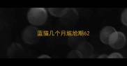 蓝猫几个月尴尬期6