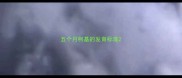 五个月柯基的发育标准