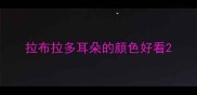 拉布拉多耳朵的颜色好看
