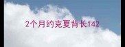 2个月约克夏背长14