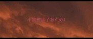 小狗被踩了怎么办