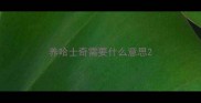 养哈士奇需要什么意思